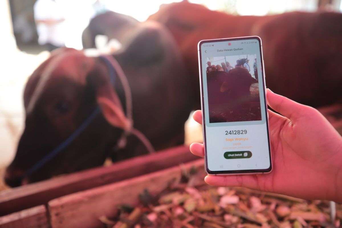 Periksa Ketat Hewan Kurban, Gunakan Aplikasi “e-Selamat”